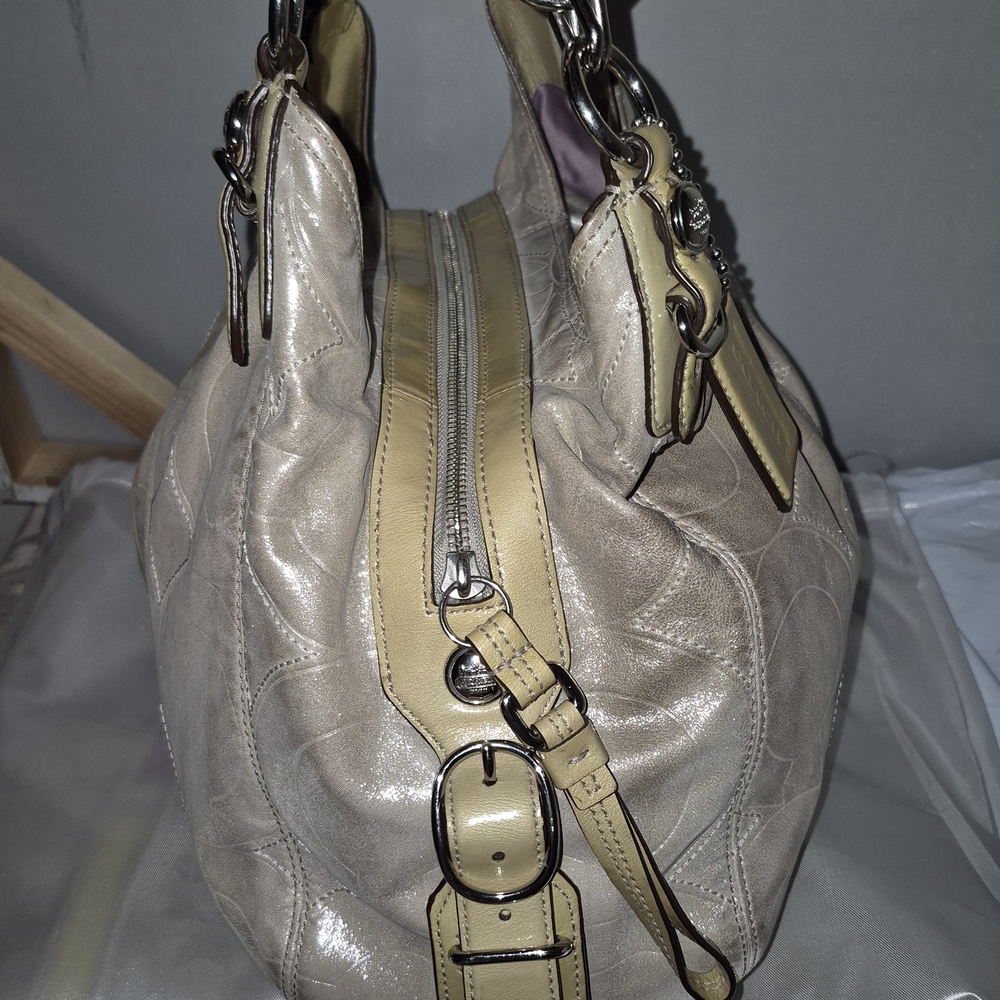 Coach Maggie Shimmer Hobo Bag - Picture 4 of 13